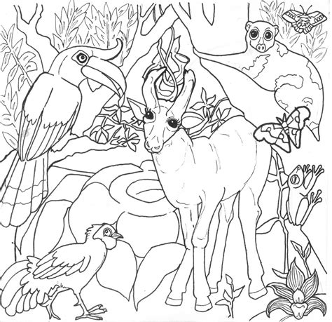 Desenhos De Animais Da Selva Para Colorir Wonder