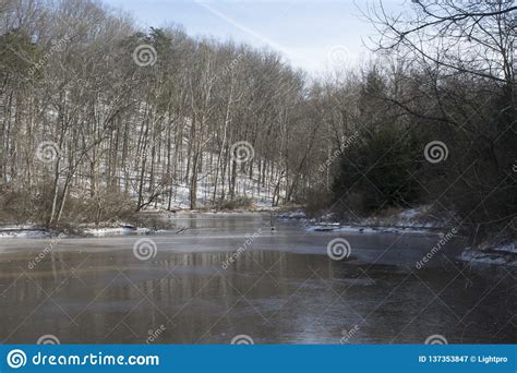 Frozen Lake In The Forest Stock Image Image Of Frozn 137353847