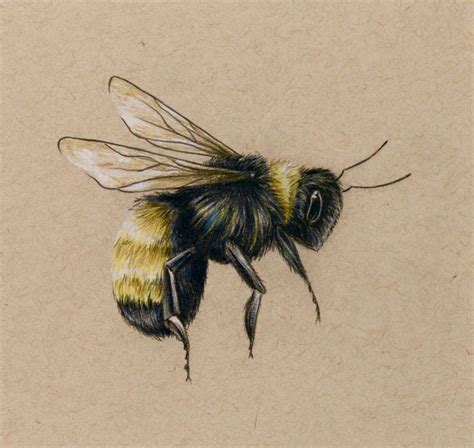 The most common rocky pencil drawing material is canvas board. Bee art PRINT drawing - colored pencil bee flying in 2020 ...