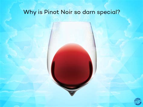 Pinot Noir Wine And Food Pairing Vinos Wine Bars Vinos Wine Bars