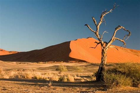 Top 10 Amazing Desert Landscapes In The World Namib Desert Fun