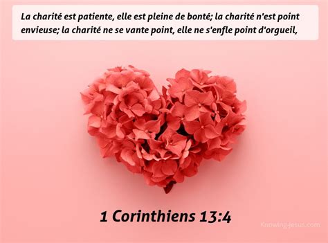 137 Versets De La Bible Sur Amour