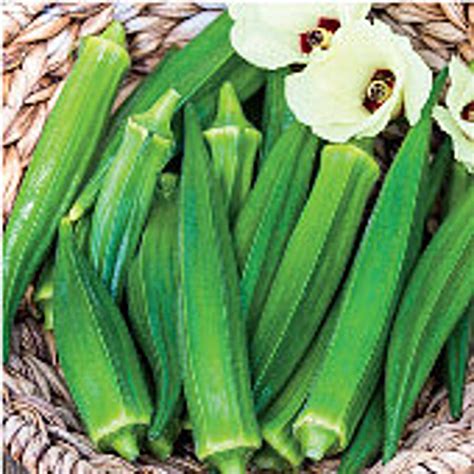 Gurney's Gumbo Okra Seeds - Etsy in 2023 | Okra seeds, Seeds, Garden seeds