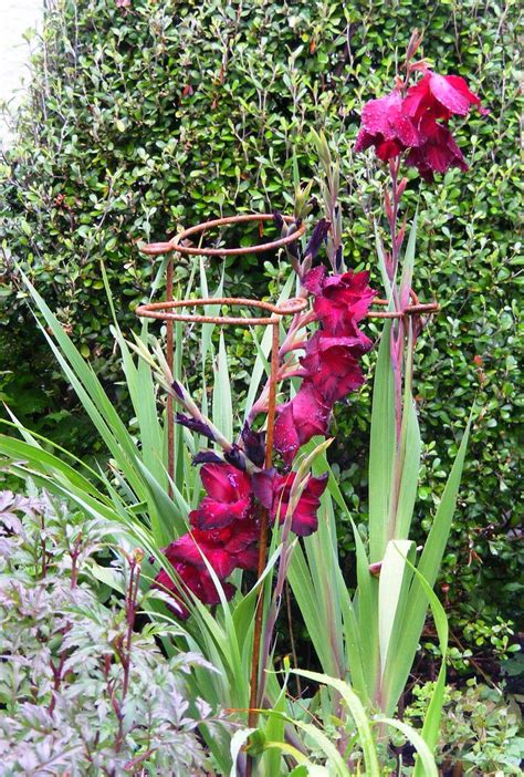 ··· hot sales metal garden flower obelisk plant support u tunnel pipe garden support. Rachel Callaghan Landscape Architect, NZ: Metal Plant Supports