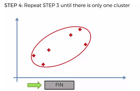 Hierarchical Clustering Machine Learning Tutorials Courses And