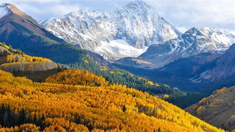 Beautiful Places In California Autumn In Colorado Birch