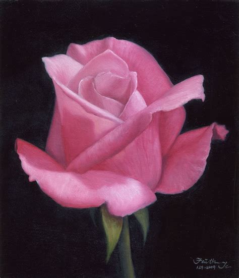 Rose Painting Daily Painting 129 Rose Painting Series Pink Rose