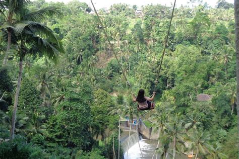 Bali Jungle Swing And Ubud Tour Balihonestdrivercom