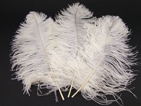 Ostrich Premium Wing Feather Short (40-50cm) - Jaffe