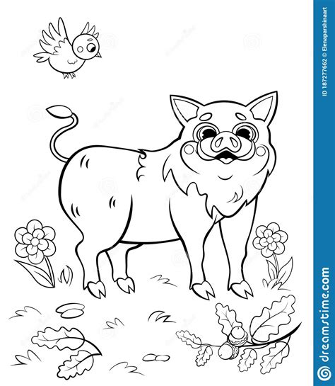 Coloring Page Outline Of Cute Cartoon Hog Or Boar With A Bird Vector