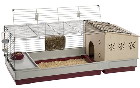 Best Indoor Guinea Pig Cages Hutches And Runs Reviewed