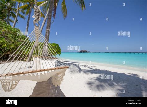 Maldives Beach Hammock Hi Res Stock Photography And Images Alamy
