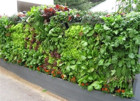 20 Ideen Für Vertikale Gemüsegärten Garten Grundriss Vertikaler