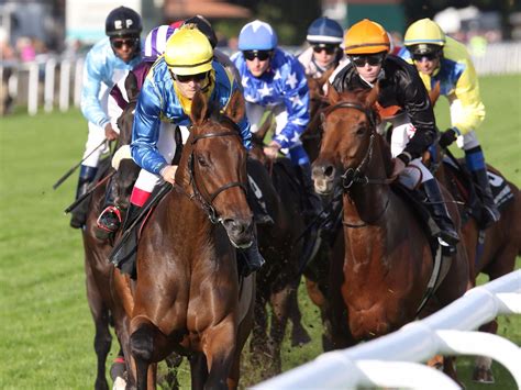 Hannover or hanover is the capital city(landeshauptstadt) of the federal state of lower saxony (niedersachsen), germany. Riesenkarte beim After Work-Renntag - Deutscher Galopp