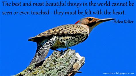 Nature Quote Wallpaper High Definition