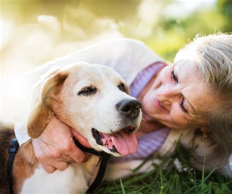 The Benefits Of Pets For Seniors Dwell At Home