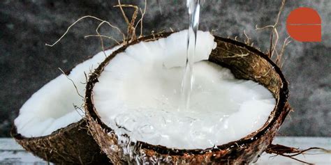 Coconut Oil For Ringworm A Remedy You Should Know Go Coconut Oil