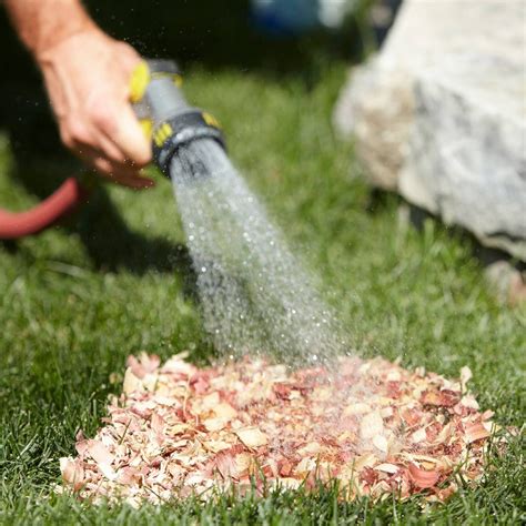 When you are watering your new sod, it is suggested that you use the first bottle from your lawnifitm new lawn starter box, grow, at 1/2 rate on your to read more about new sod care, check out our establishing a newly installed lawn page or read our sod university blog on how to get your newly. Spot-Watering Tip For Grass Seed | The Family Handyman