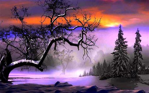 A Snowy Landscape With Trees And Snow Covered Ground At Night As The Sun Sets