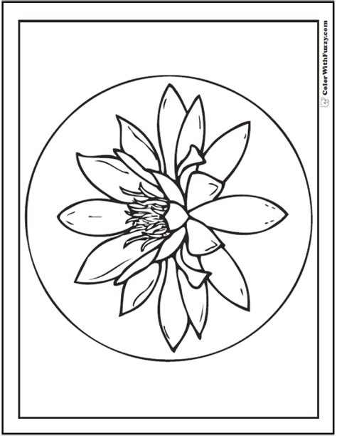 View highly recommended 35 varieties of tropical waterlilies : 12 Lily Coloring Pages Fun Interactive Notebook PDF Printables
