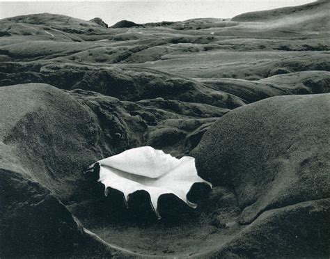 The Photography Files Edward Weston