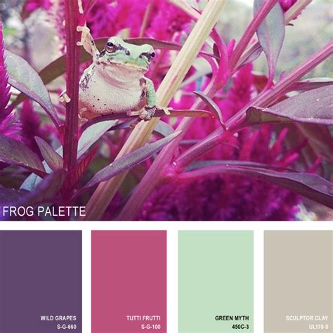 11 Beautiful Color Palettes Inspired By Nature