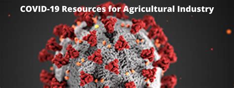 Covid 19 Resources For Farmers
