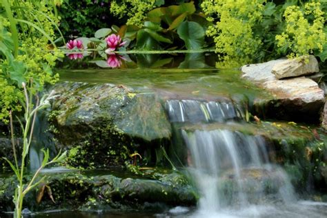 Summer Waterfall Download Hd Wallpapers And Free Images