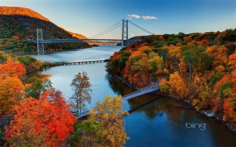 Fall Jungle River Bridge October 2013 Bing Hd Wallpaper Peakpx