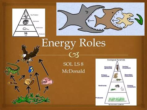 Ppt Energy Roles Powerpoint Presentation Free Download Id2638153