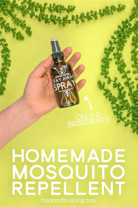 Homemade Mosquito Repellent With Free Svg Tried And True Creative