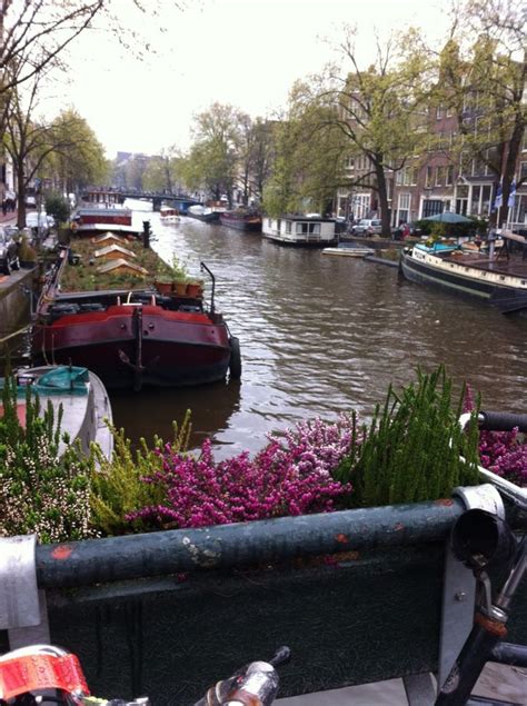 La ricerca della casa ad amsterdam. Case galleggianti Amsterdam | Case galleggianti, Luoghi ...