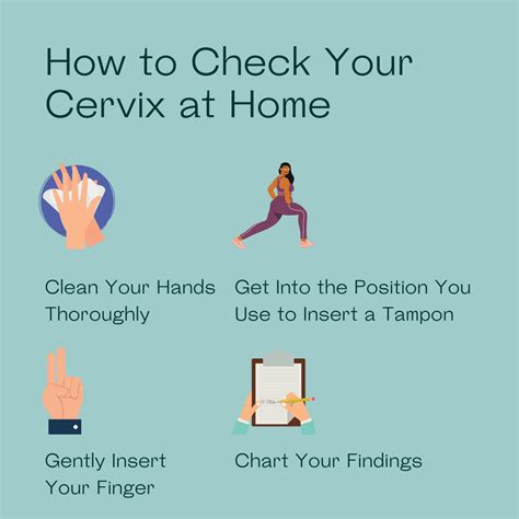 Mira Fertility How To Check Your Cervix At Home Milled