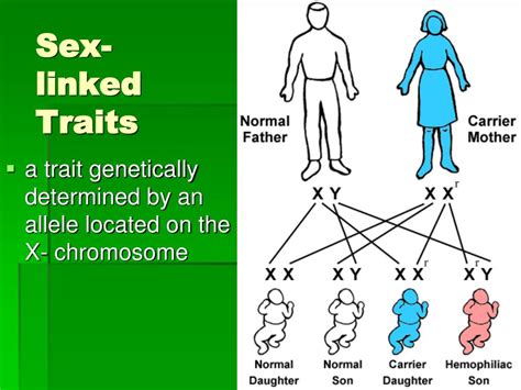 Ppt Topic D Heredity Powerpoint Presentation Free Download Id6489867