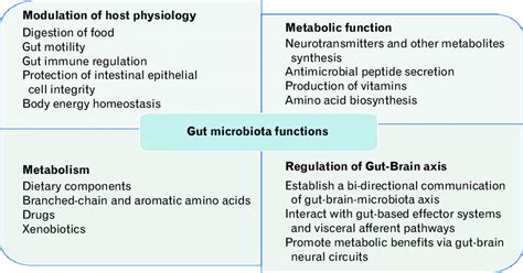 Gut Microbiota Function