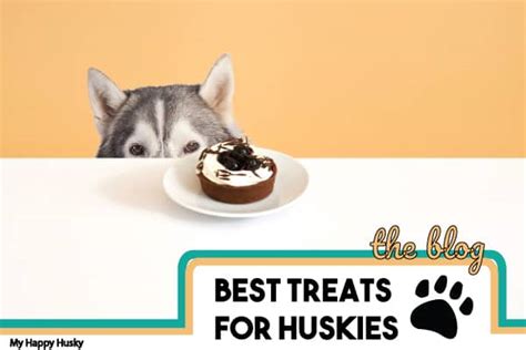 This is very suitable for a huskies nutritional requirements. Best Treats For Huskies: Top 10 Tasty Ideas - My Happy Husky
