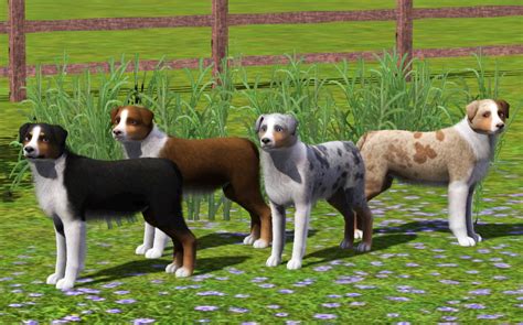 My Sims 3 Blog 4 Improved Australian Shepherds By Numberei8ht