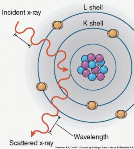 Rad Xray Interactions With Matter And Beam Attenuation Flashcards