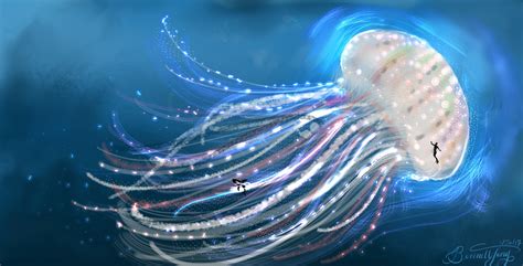 The Medusazoa The Largest Discovered Sea Creature Of My