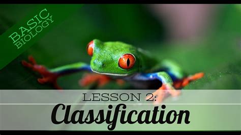 Basic Biology Lesson 2 Classification Of Living Things Gcse Science