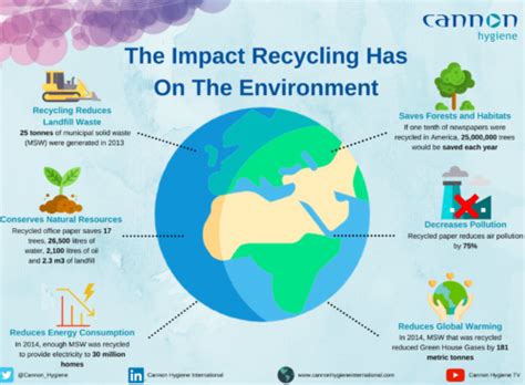 World Environment Day - The Impact Recycling Has On The Environment