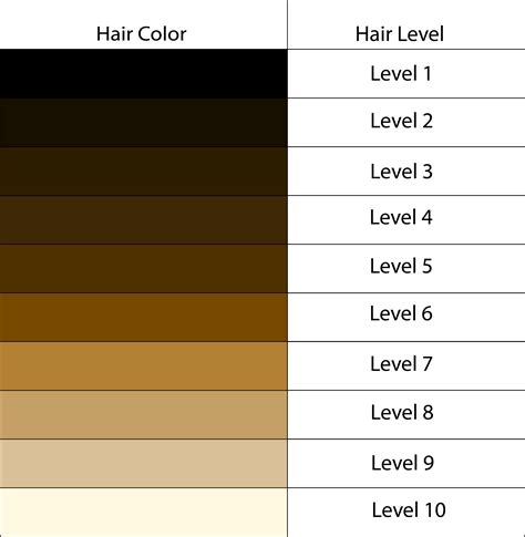 If your haircolor is a level 5 haircolor with a tone of.1, you have cool light brown hair, while a level this haircolor levels chart also allows your colorist to neutralize the coloration. To Dye or Not To Dye | The Pipettepen