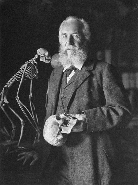 Ernst Haeckel Le Affascinanti Illustrazioni Con Cui Il Biologo