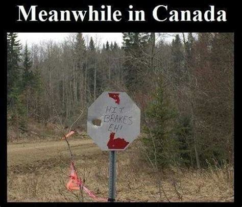 Meanwhile In Canada Boredom Kills Canadian Memes Canada Funny