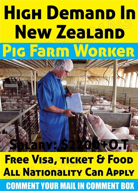 Pig Farm Worker Wanted In Newzealand Gulf Job Mag