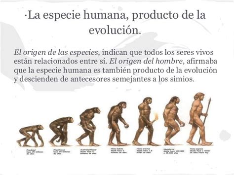 La Evolución Del Hombre