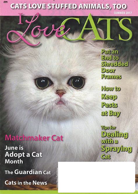 Subscribe to cat fancy or any of thousands of popular magazines and save. I Love Cats Magazine - DiscountMags.com