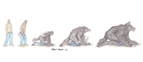 Wolf Man 24 Transformation Sequence By Kigai Holt On Deviantart Furry