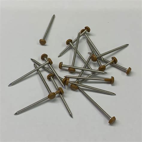 Polytop Pins 40mm Golden Brown 5 A4 Stainless Steel Ring Shank Pins