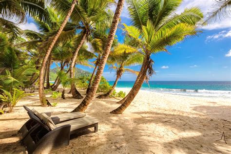 10 Best Beaches In Seychelles Seychelles Most Beautiful Beaches Go